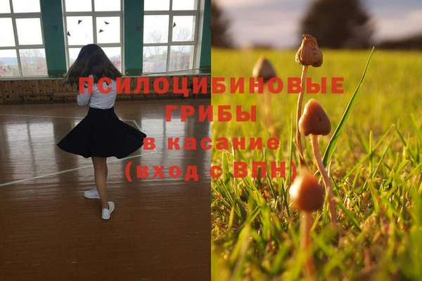 ECSTASY Алзамай