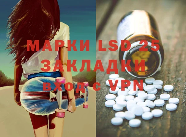 ECSTASY Алзамай