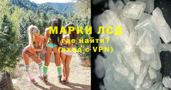 ECSTASY Алзамай
