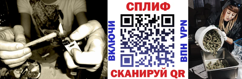 Марихуана Amnesia  Орлов 